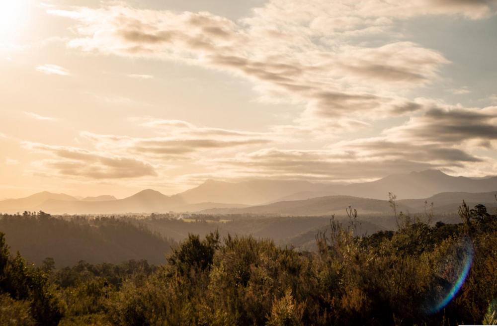 Forest Harmony Knysna Eksteriør bilde